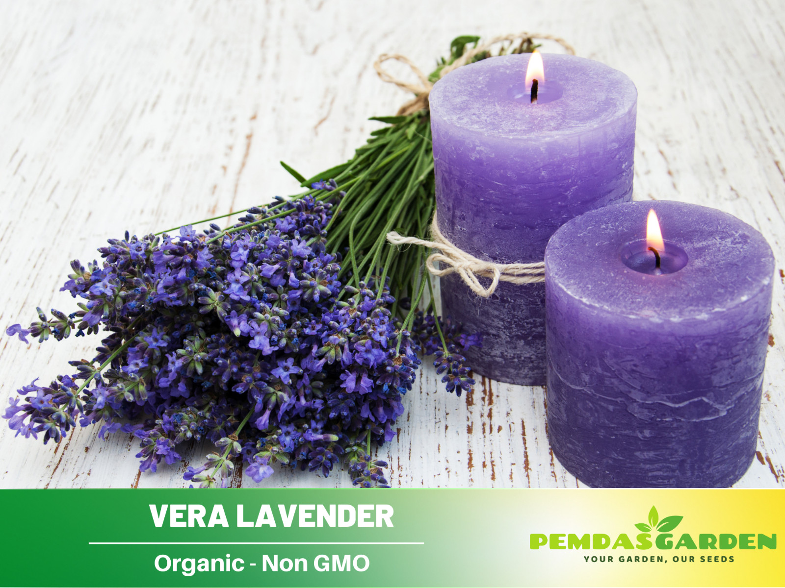155 seeds| Vera Lavender Flower Herb Seeds #6008