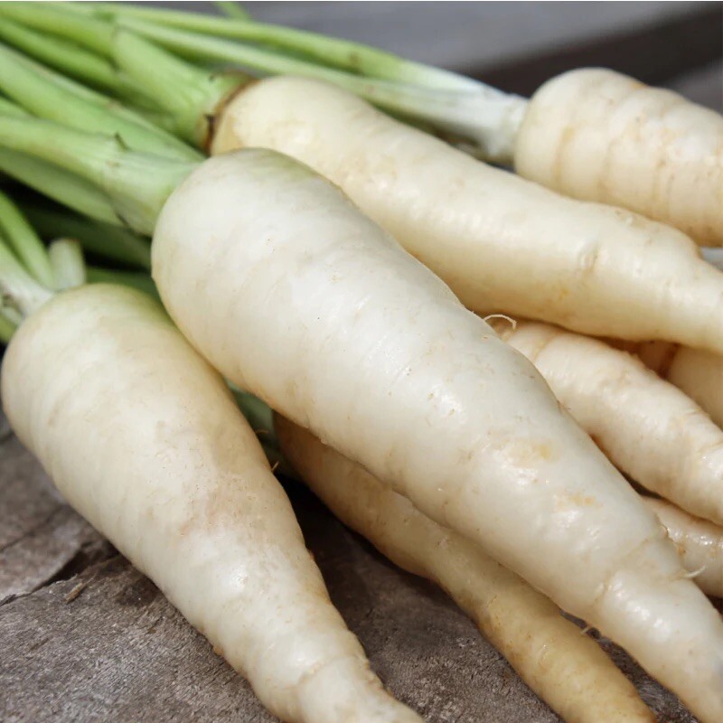 20 + Snow White Carrot Seeds / NON-GMO / Vegetable / Garden Panting / Organic