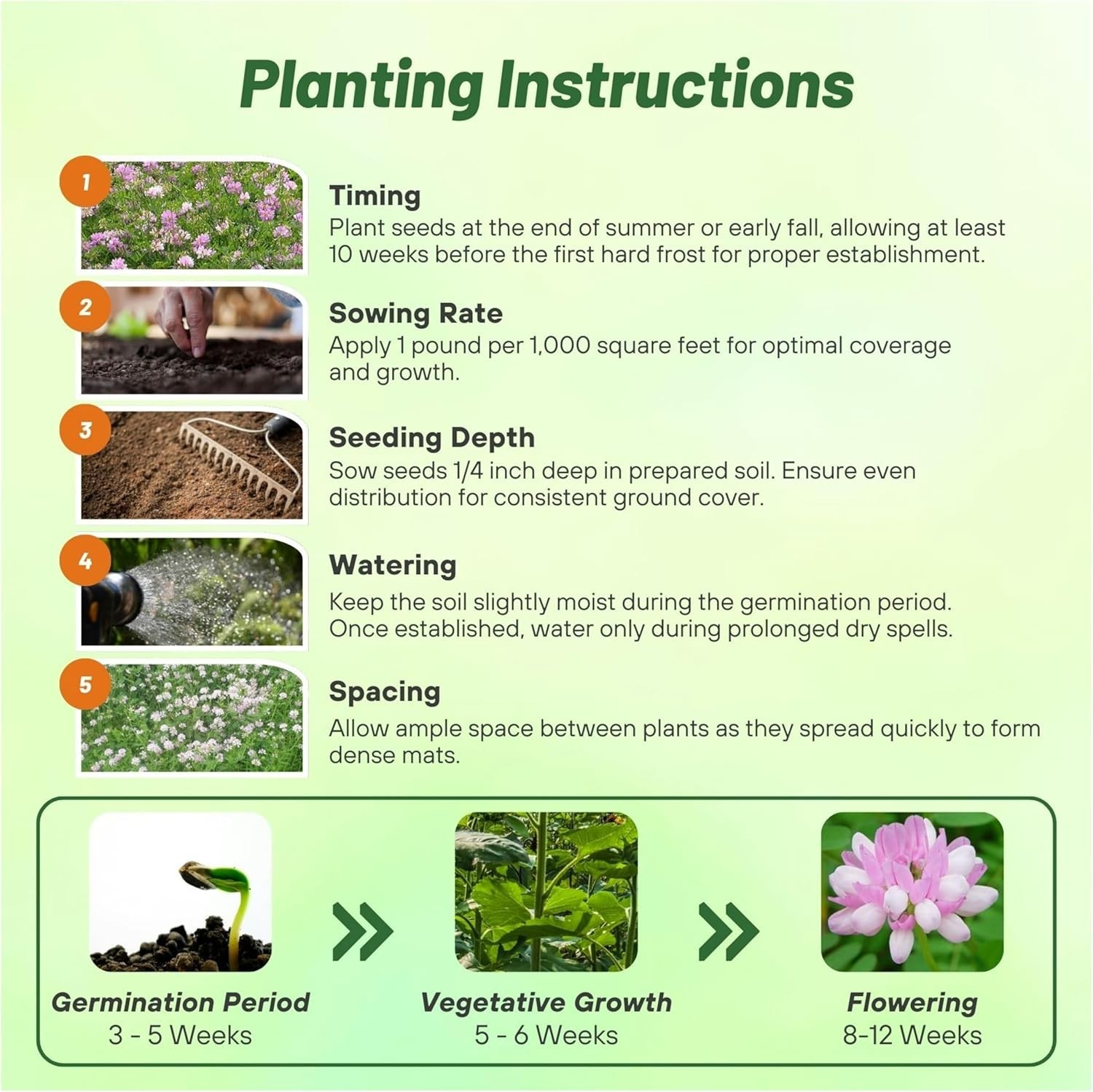 Drought-Tolerant Ground Cover Seeds – 1 lb