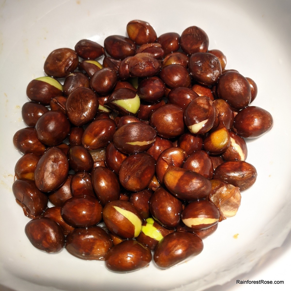 10 fresh Loquat seeds for planting delicious fruit, sweet, sour vitamin