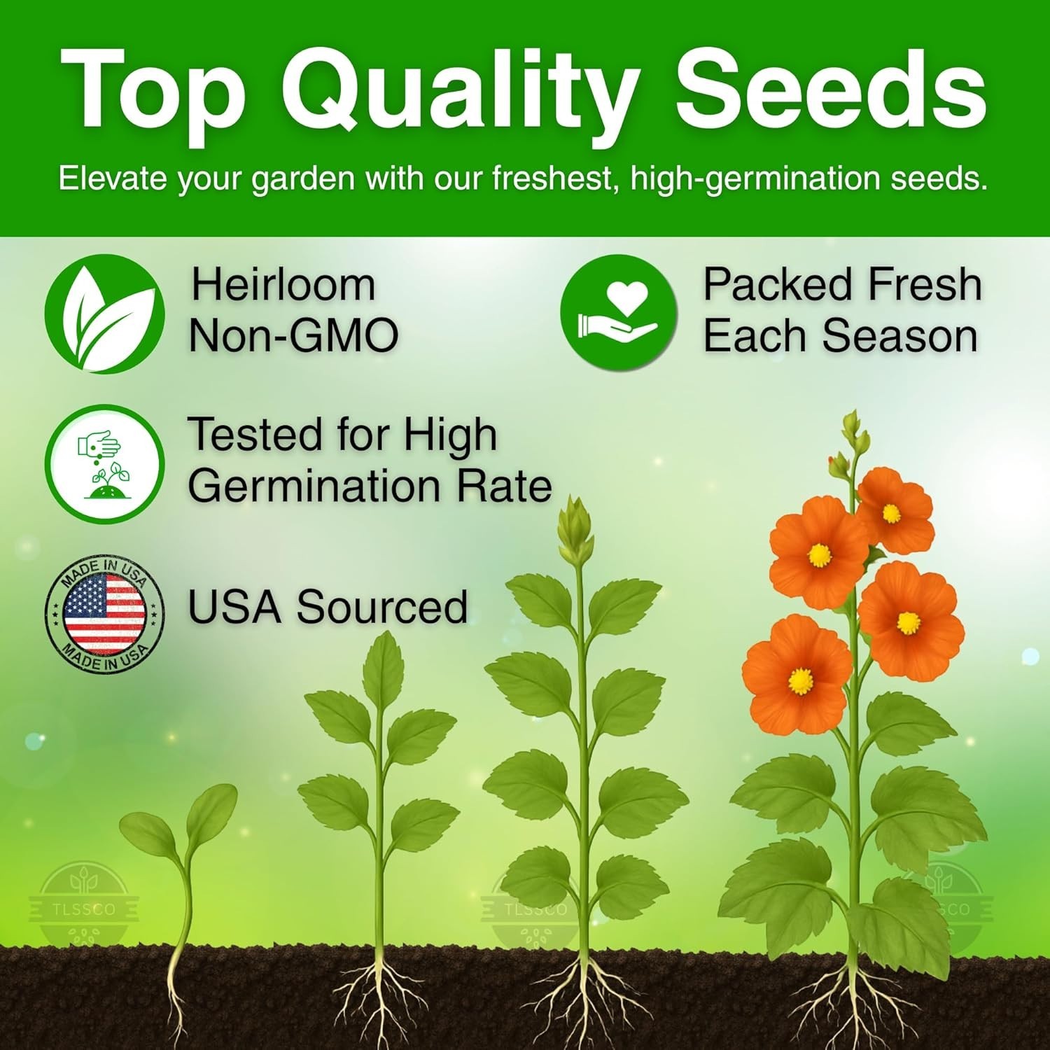 225+ Non-GMO Giant Hollyhock Seeds – Vibrant Carnival Mix for Stunning Gardens