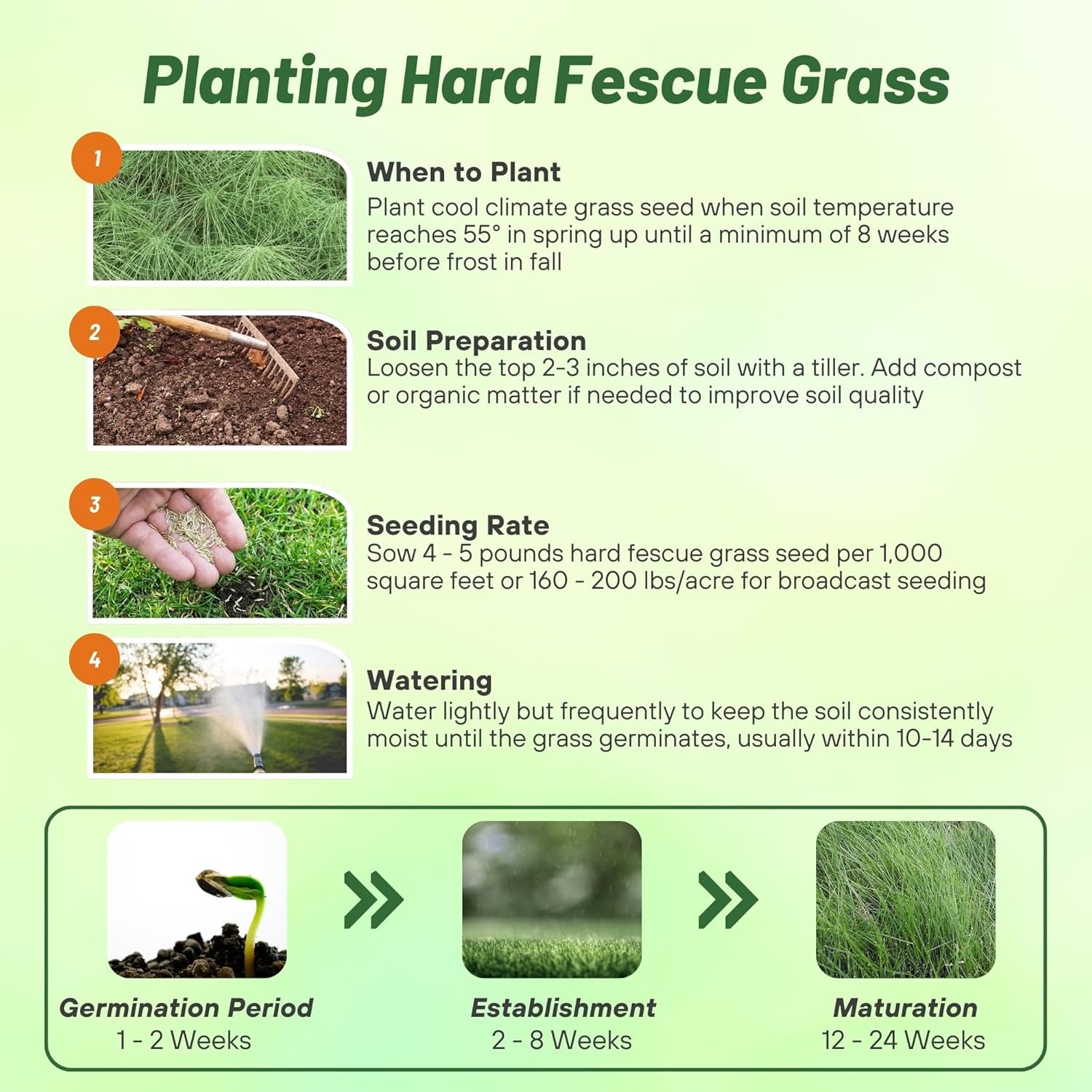 25 LBS – OptiGrowth Coated Hard Fescue Grass Seed – Low Growing Fine Fescue