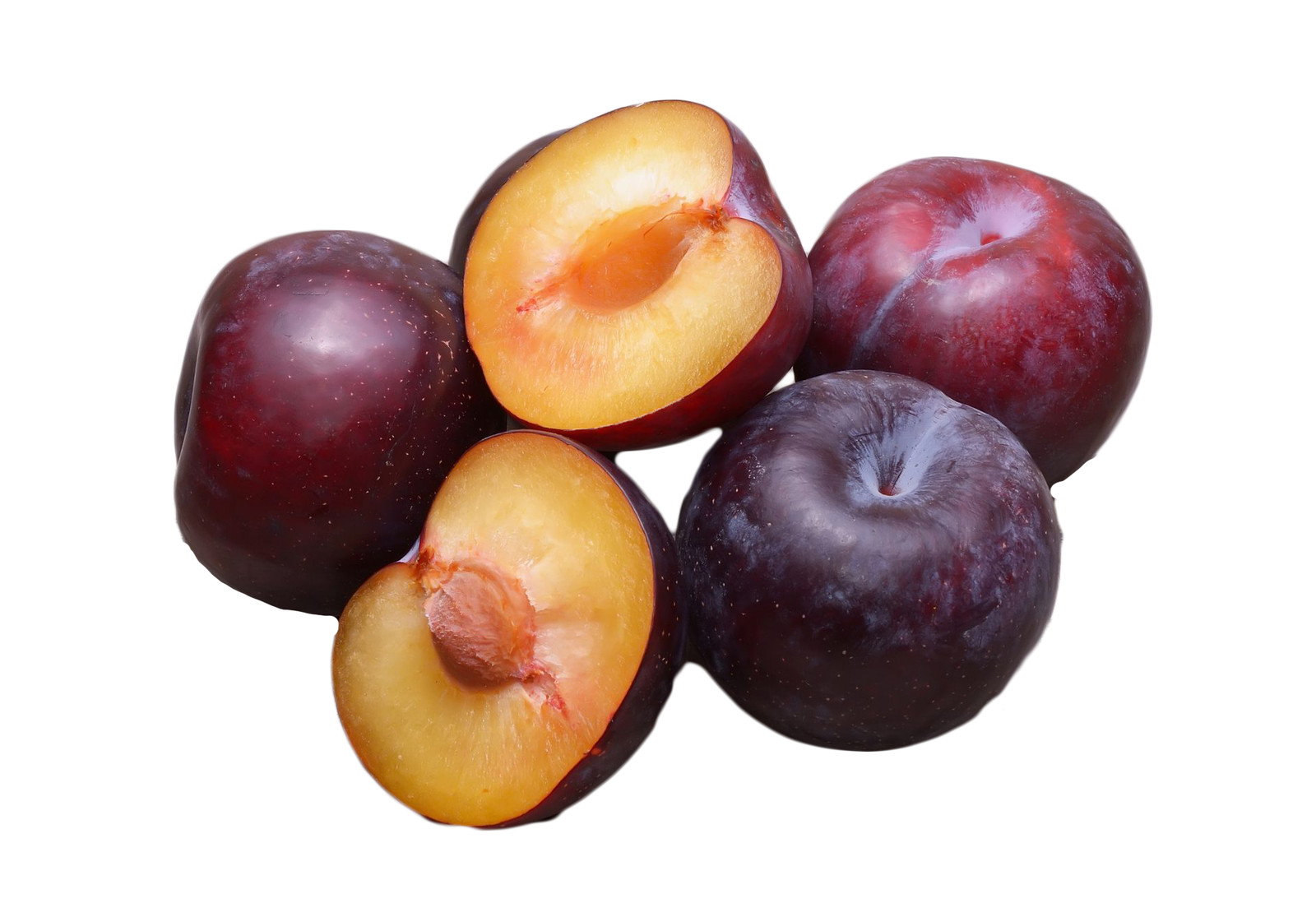 5 AMERICAN PLUM Prunus Americana Red Purple Fruit White Flower Shrub Tree Seeds