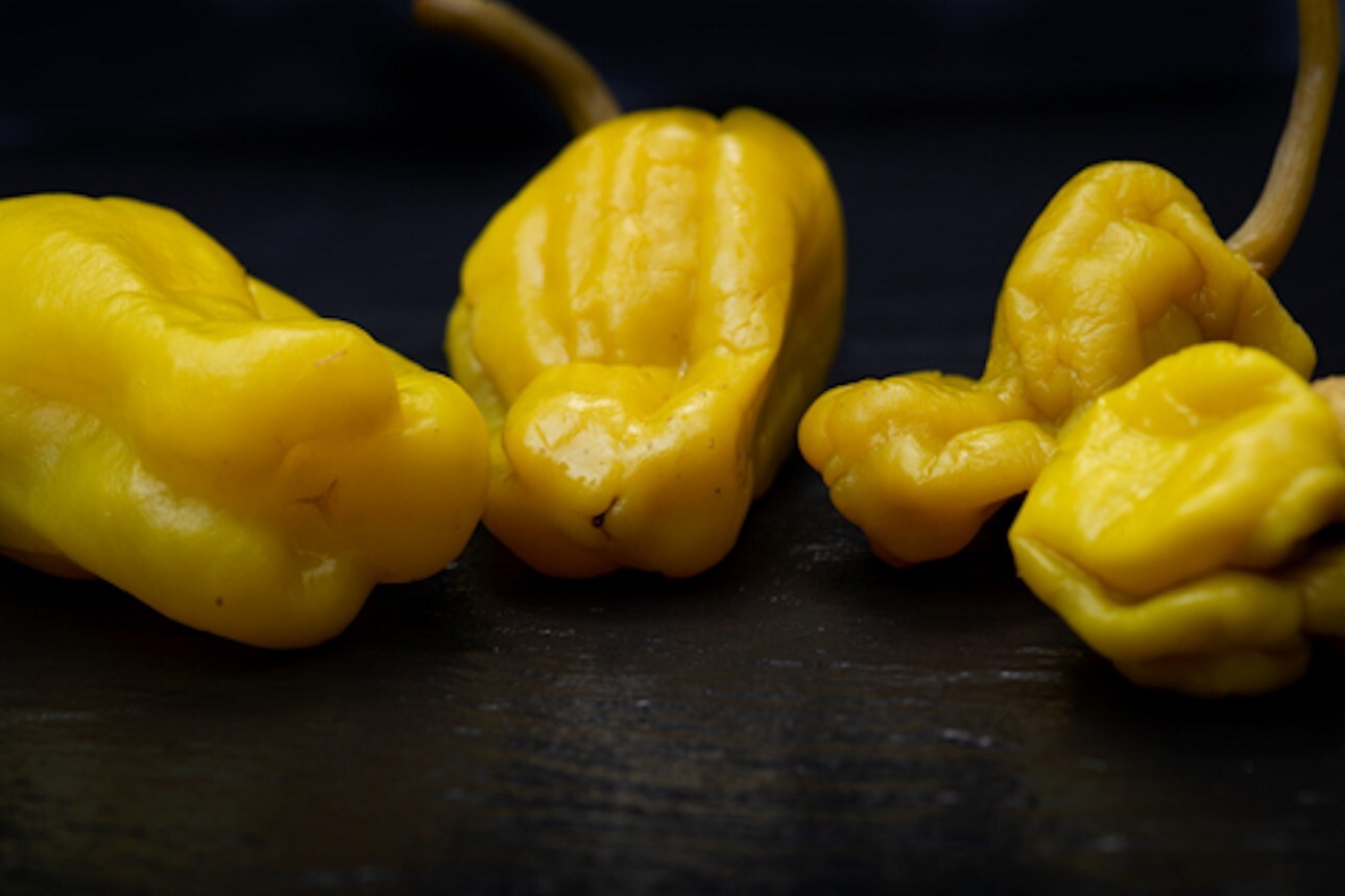 10 Heirloom Pepper Seeds- Golden Greek Pepperoncini -Sweet With a Mild Kick