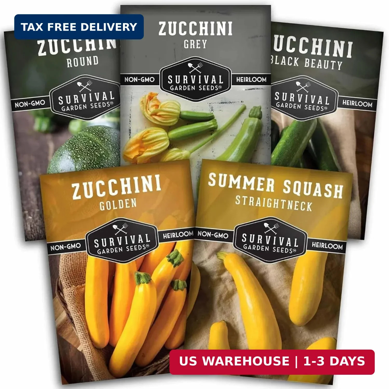 Zucchini & Summer Squash Seeds Collection – 5 Heirloom, Non-GMO Vegetables for P
