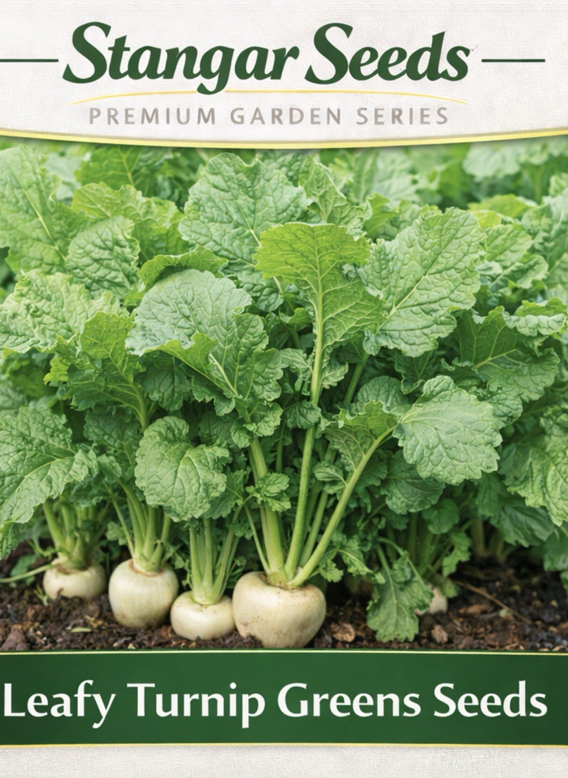 300 Purple Top White Globe Turnip Seeds, NON-GMO, 2026