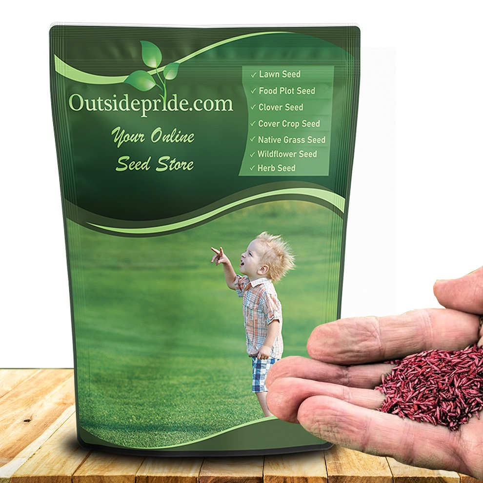 10 LBS – OptiGrowth Coated Showtime grass seed mix of fine fescue, Kentucky