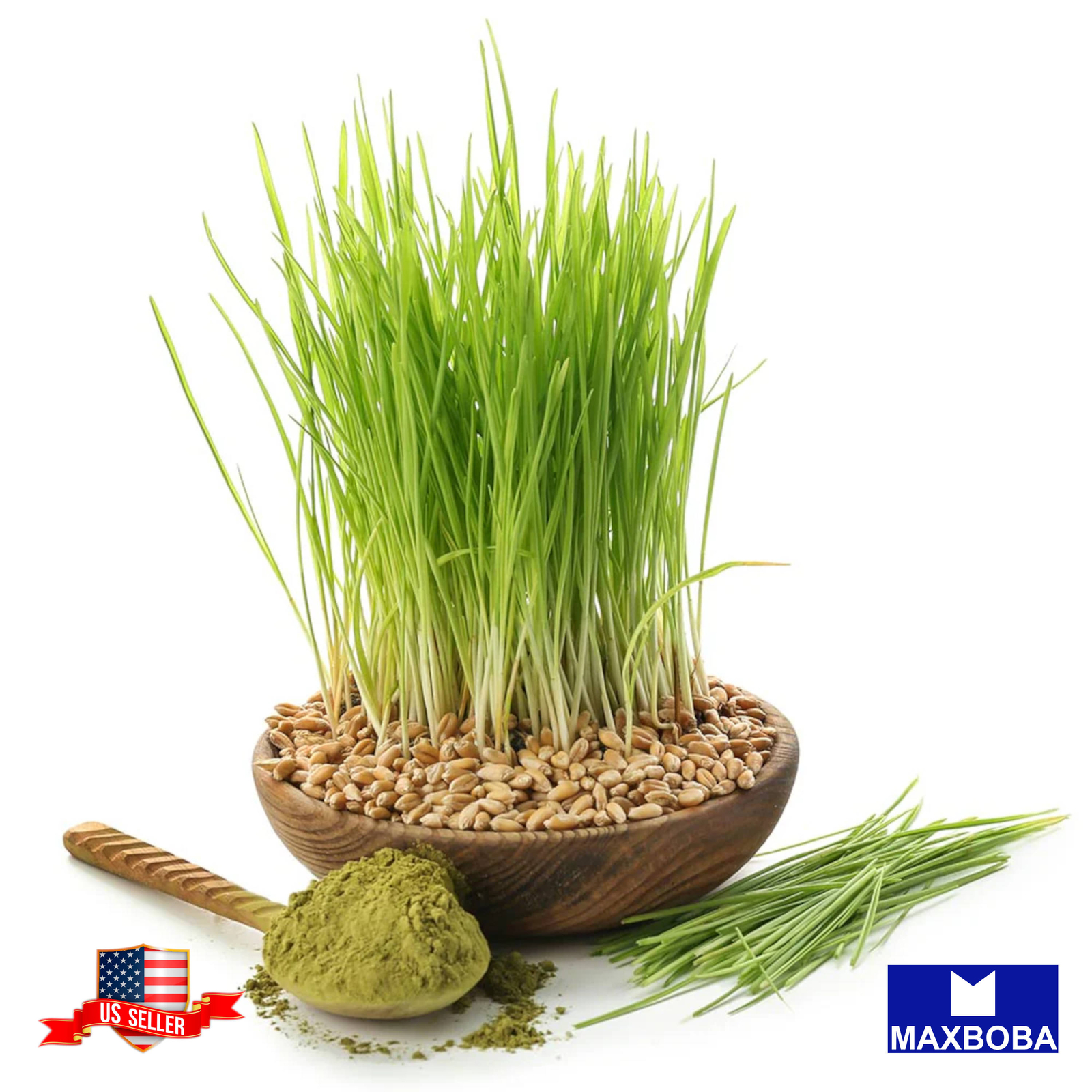 Barley Whole (Organic) Grass Seeds Non-GMO