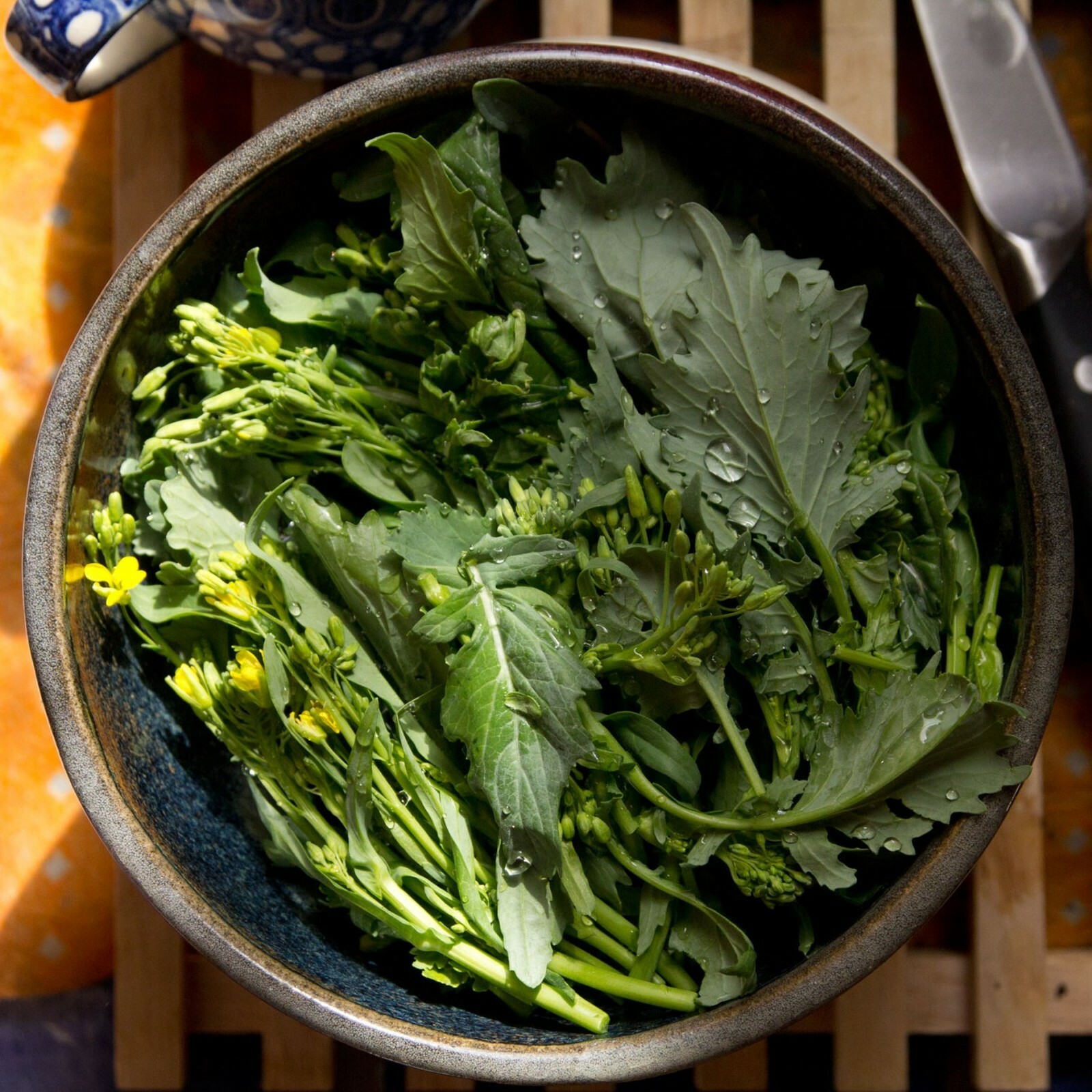 500+ Broccoli Raab (Rabe, Rapini) Seeds 2021 Seeds $1.69 Combined Shipping
