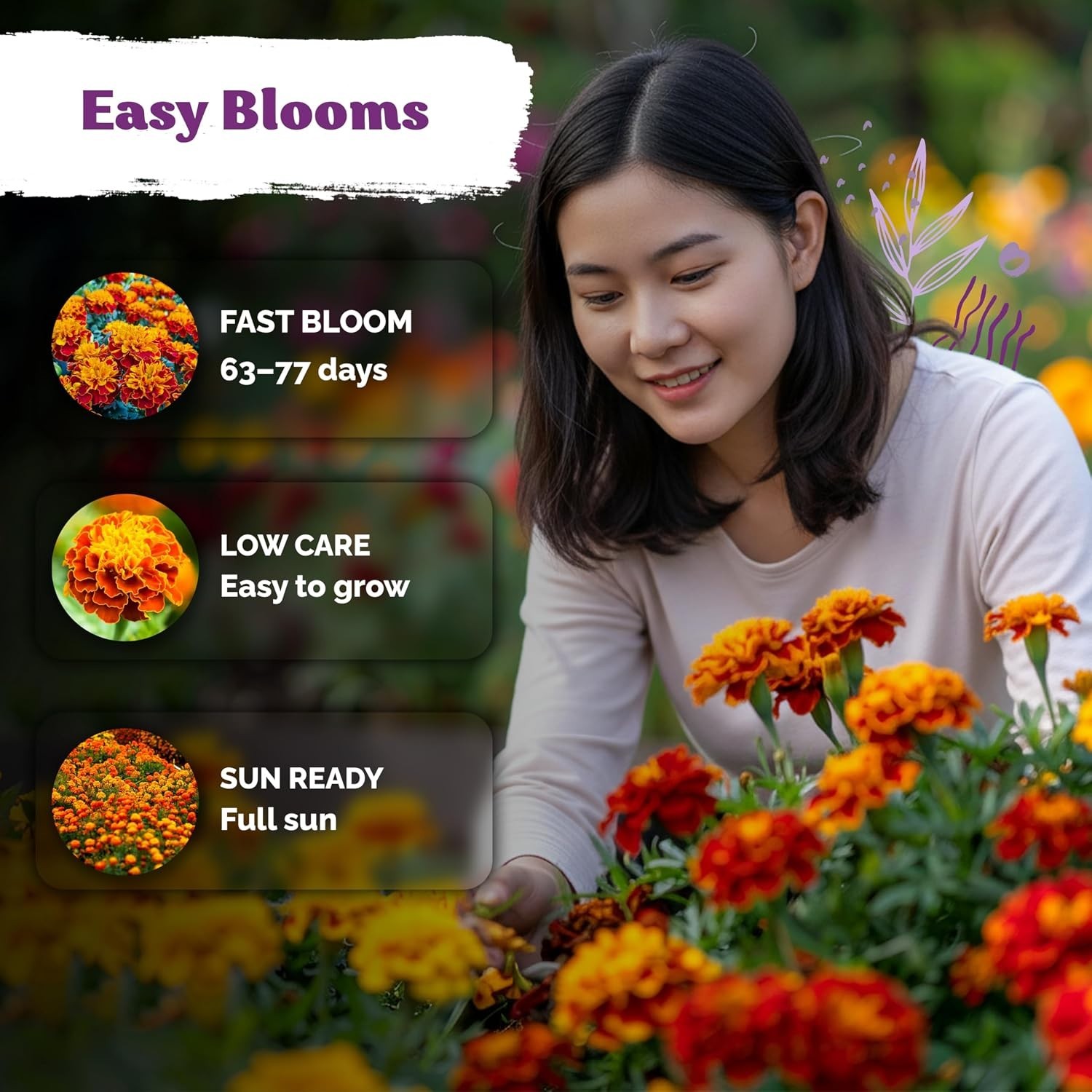 500 Non-GMO French Marigold Seeds – Bright Yellow & Orange Blooms for Any Space