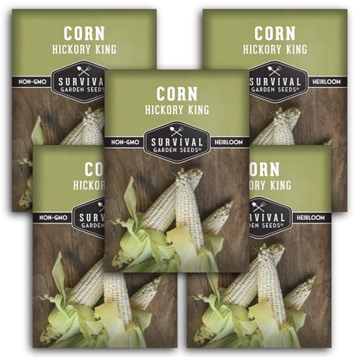 Hickory King Corn Seed for Planting – Packets with Instructions to Plant and 5