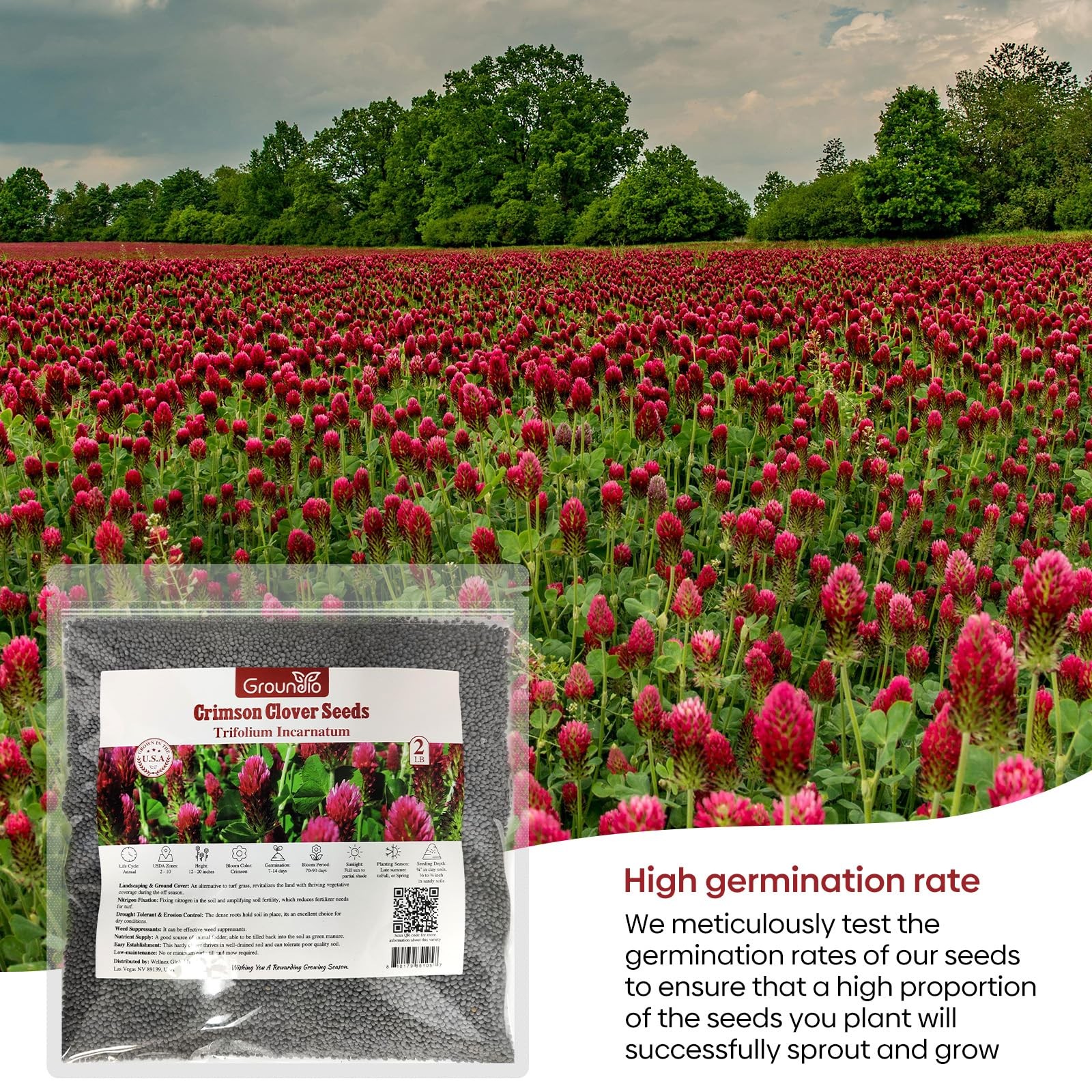 Crimson Clover Seeds 2 Lbs Annual Red For Lawn Garden Pasture Attracts Pollinato