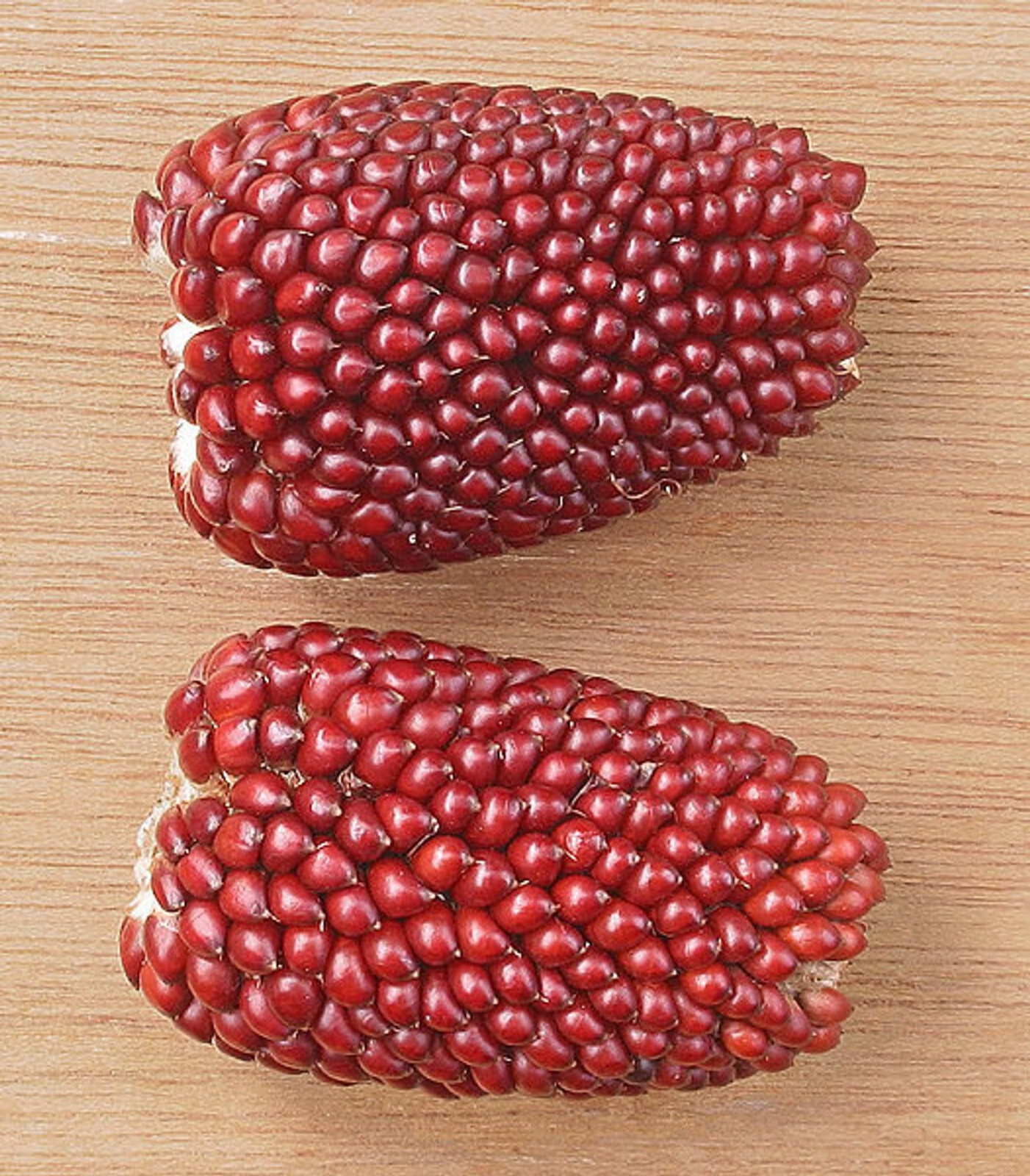 Strawberry Popcorn Seeds | Red Popping Mini Cherry Ornamental Corn Seed For 2025