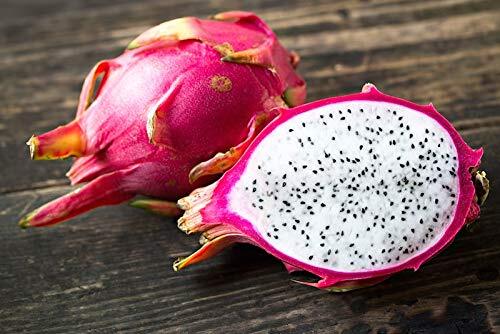 100+ Dragonfruit Seeds (Pitaya / Pitahaya / Strawberry Pear) Hylocereus Undatus