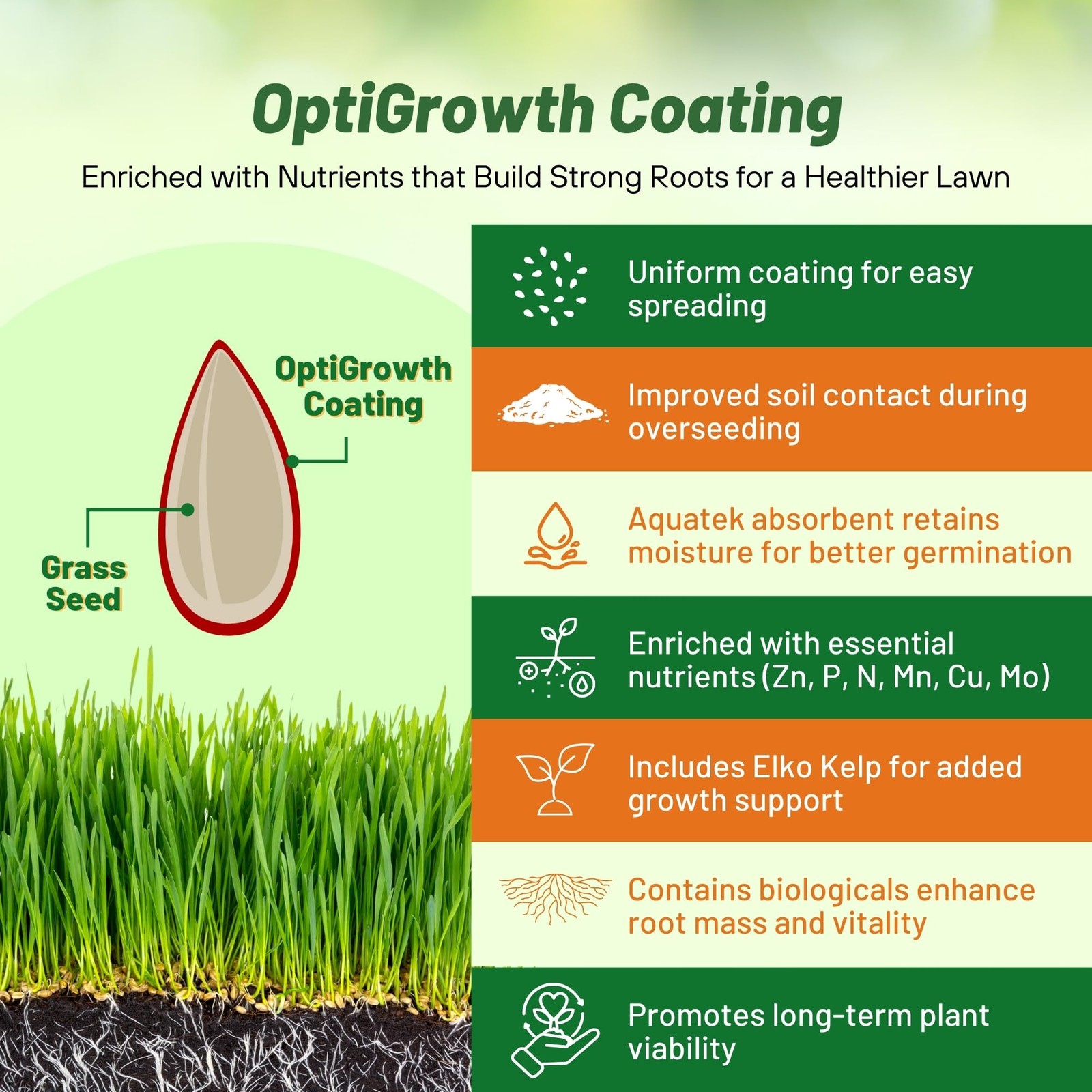 Creeping Red Fescue Grass Seed 5 Lbs – Cool Season, Self-Repairing Lawn Seed