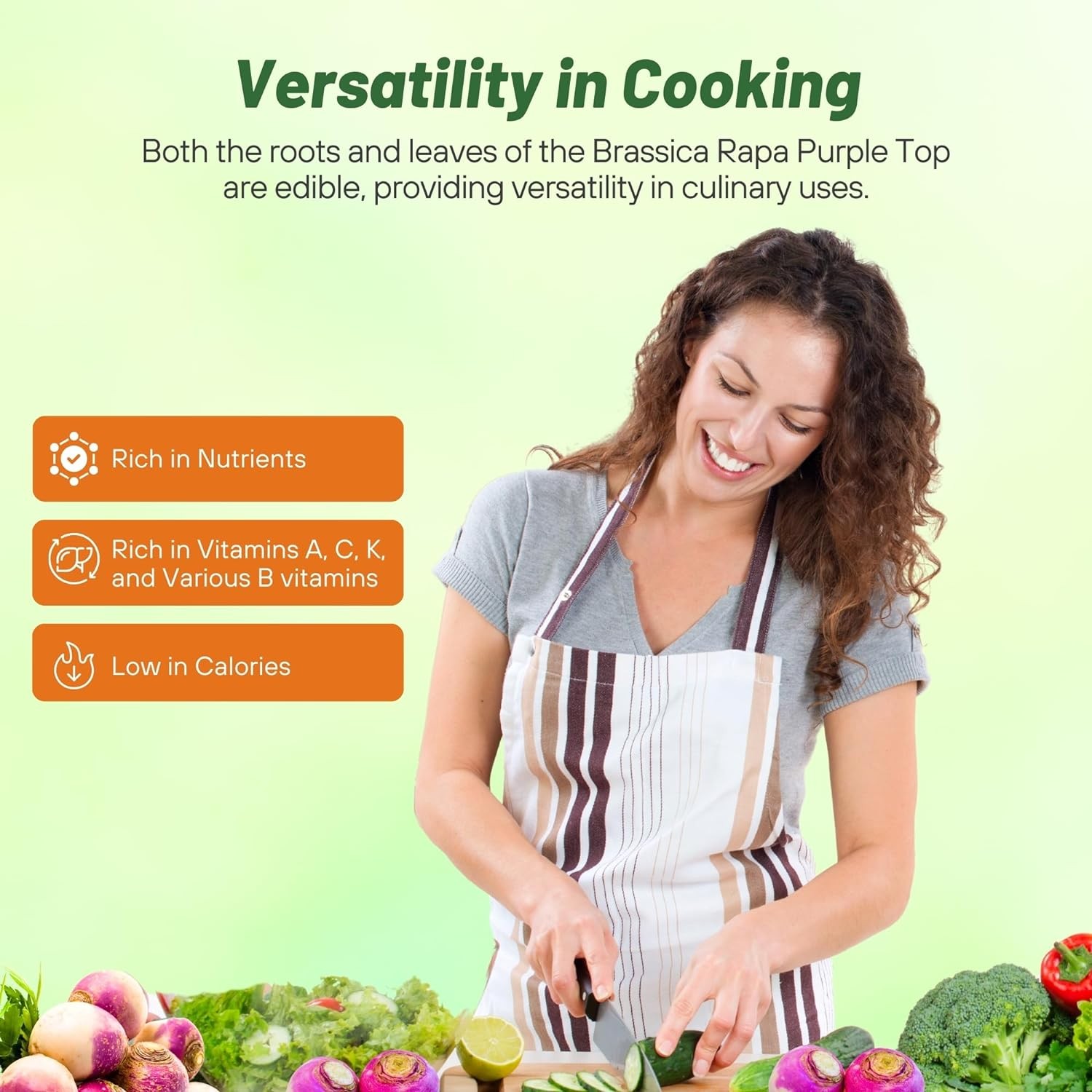 50 LBS Purple Top Turnip Seeds – Bulk Brassica Seed For Food Plots, Cover Crops