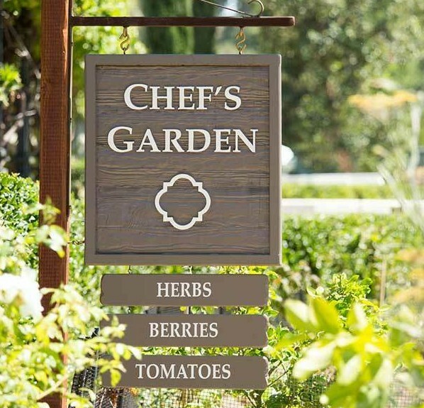 150+ Heirloom Vegetable Seed 6 Variety Garden Set #5 Emergency Survival NON-GMO