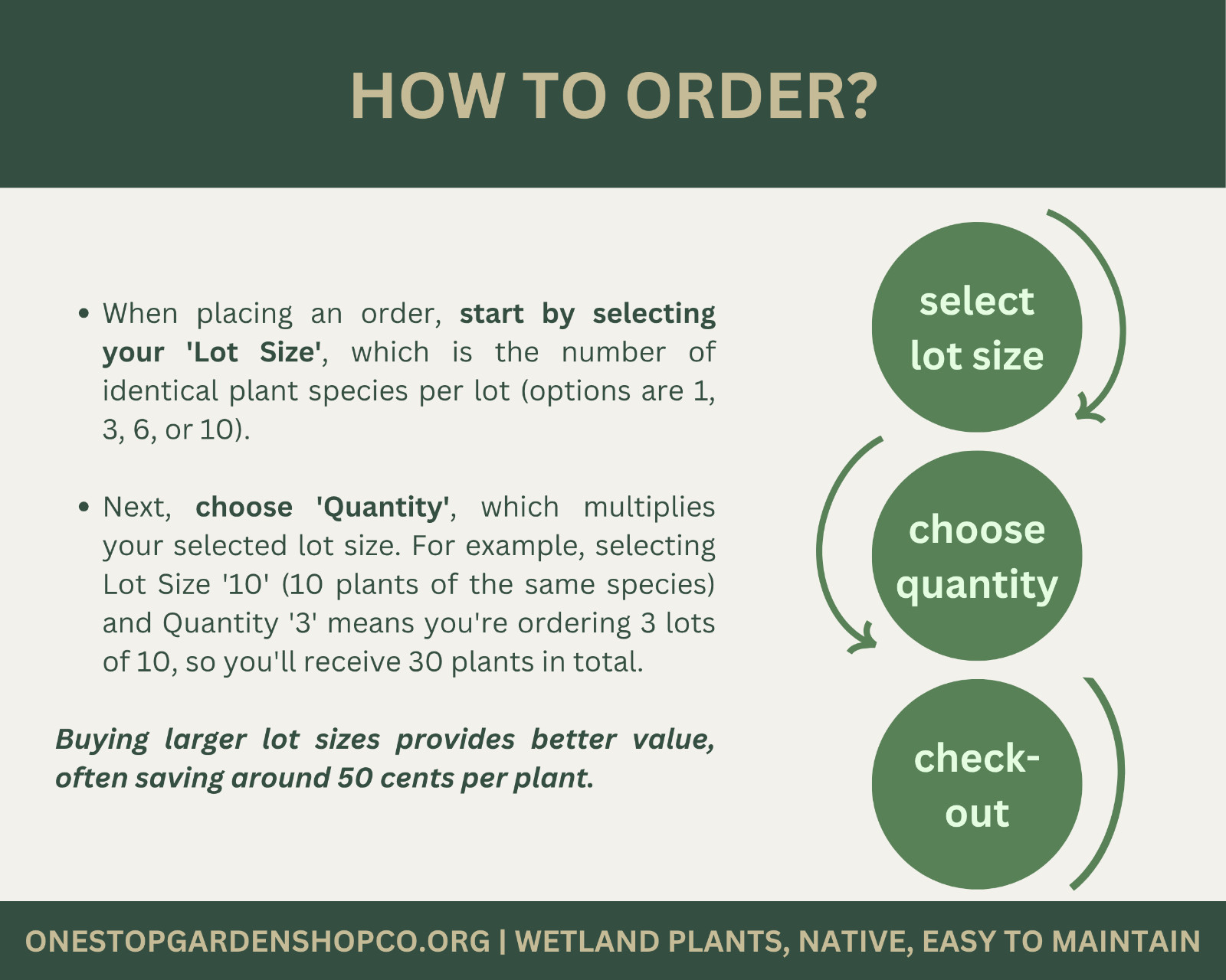 Plantago lanceolata | Narrowleaf Plantain | Bareroot
