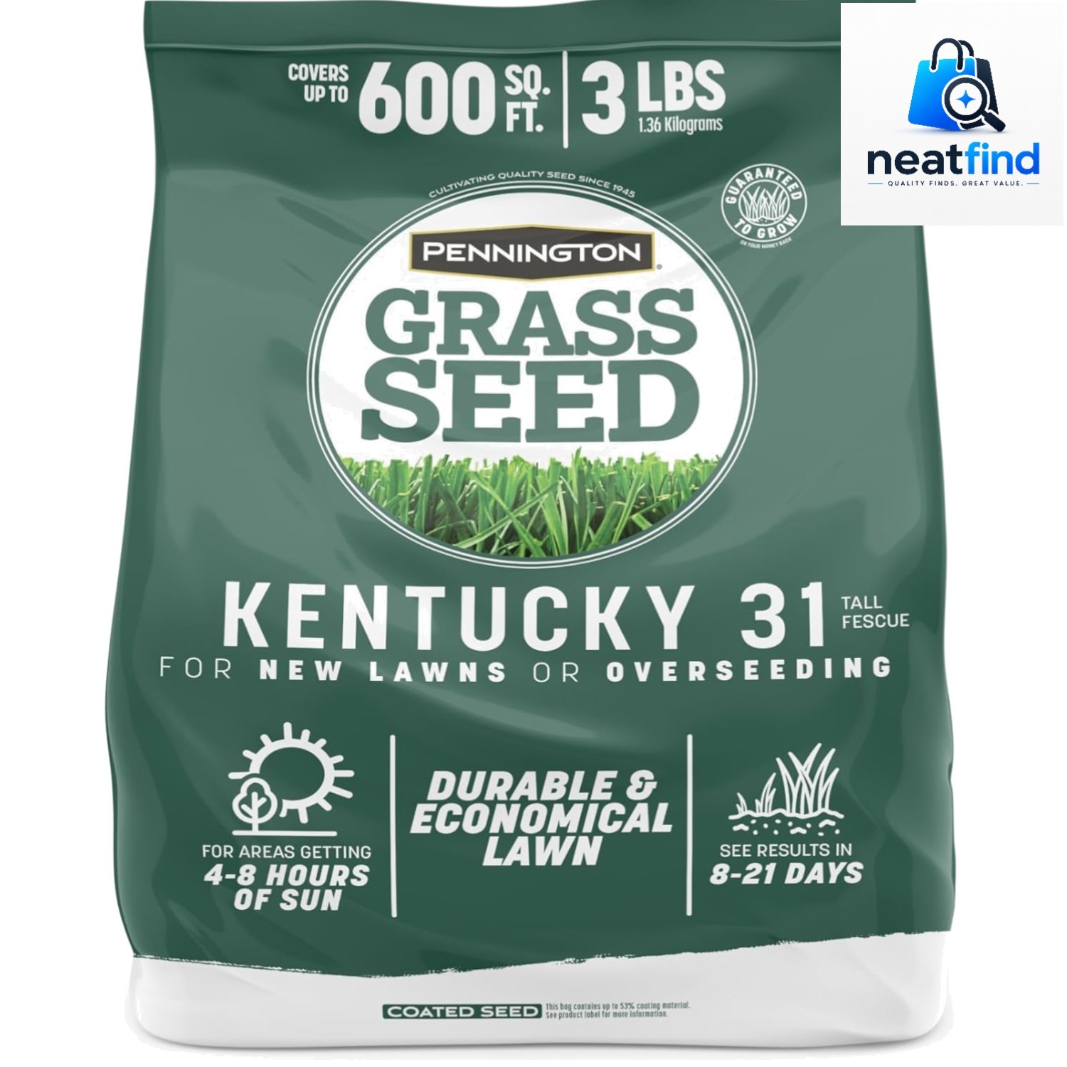 Kentucky 31 Fescue 3 LB Tall Fescue Grass Seed, Grass Seeds for Lawn