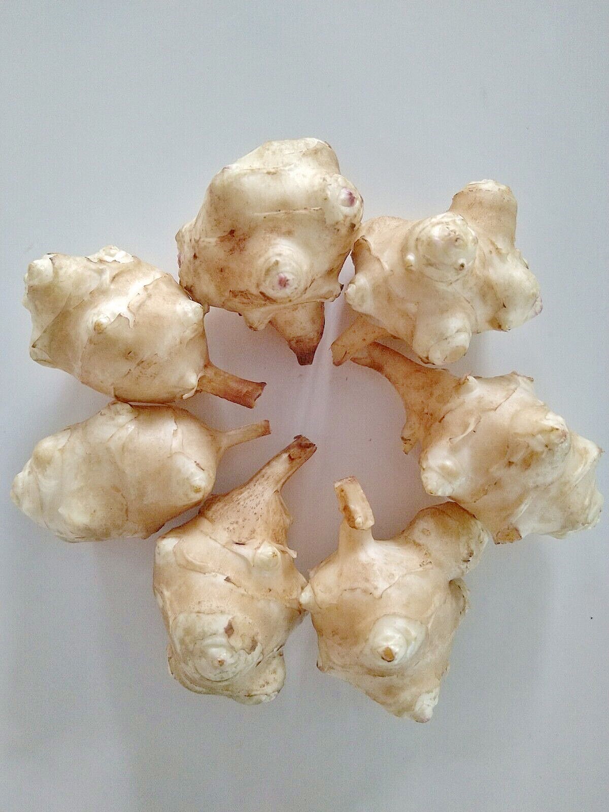 8oz of Jerusalem Artichoke Sunchoke Sunroot -NON-GMO Organic Ship Fast!