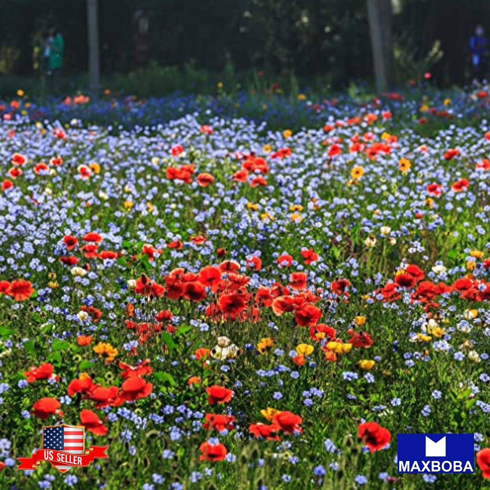 1/4 oz Wildflower Seeds Partial Shade Mix Non-GMO BOGO 50% OFF