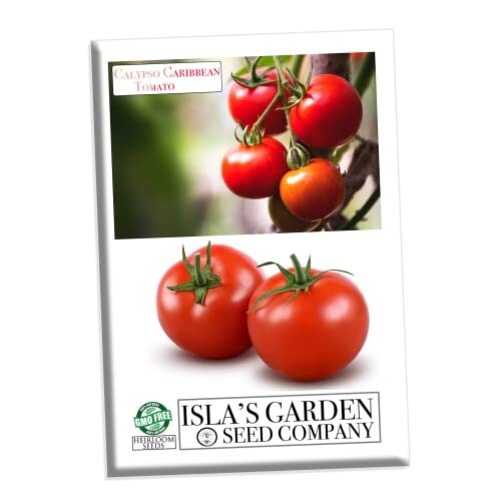 Calypso Caribbean Tomato Seeds for Planting, 100+ Heirloom Seeds Per Packet,