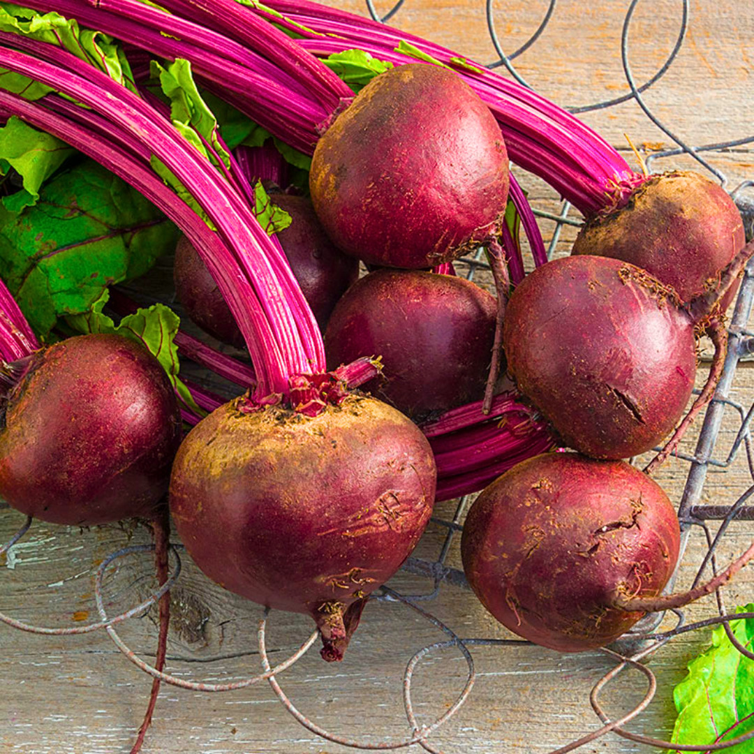 Fresh Detroit Dark Red Beet Seeds | Heirloom Non-GMO | Fresh Vegetable Seeds