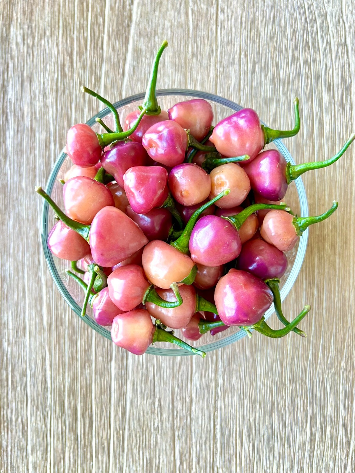 Cheir Roxa Hot Pepper Seeds, Non-GMO Organic Peppers, Hot Spice Level