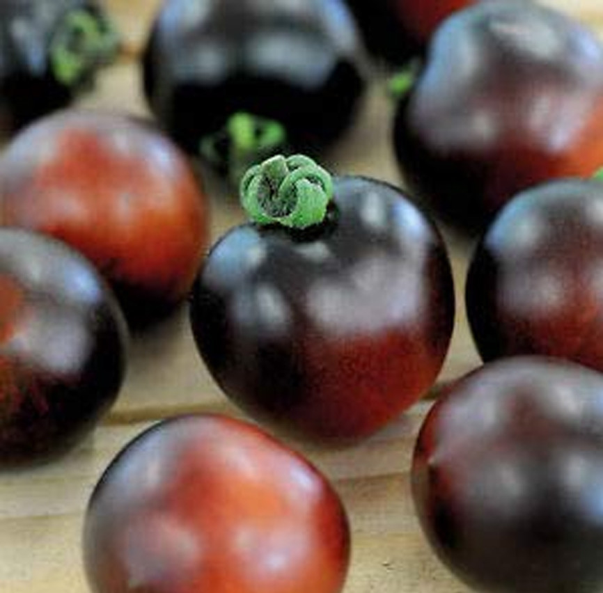 Indigo Cherry Heirloom Tomato Premium Seed Packet