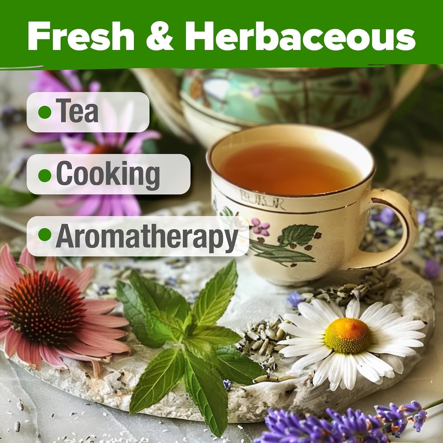 Medicinal Herb Seeds Vault – 2,000+ NON-GMO Heirloom Seeds for Indoor & Outdoor