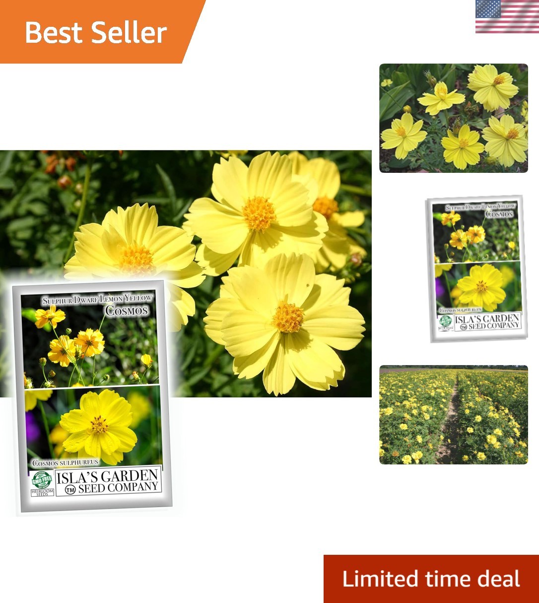 Lemon Yellow Sulphur Dwarf Cosmos Flower Seeds for Planting, 100+ Heirloom Se…