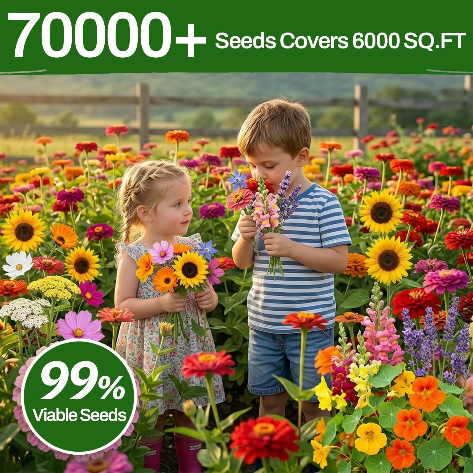 5 Varieties Flower Seeds in Individual Packs, Includes Zinnia, Lavender, Sunf…
