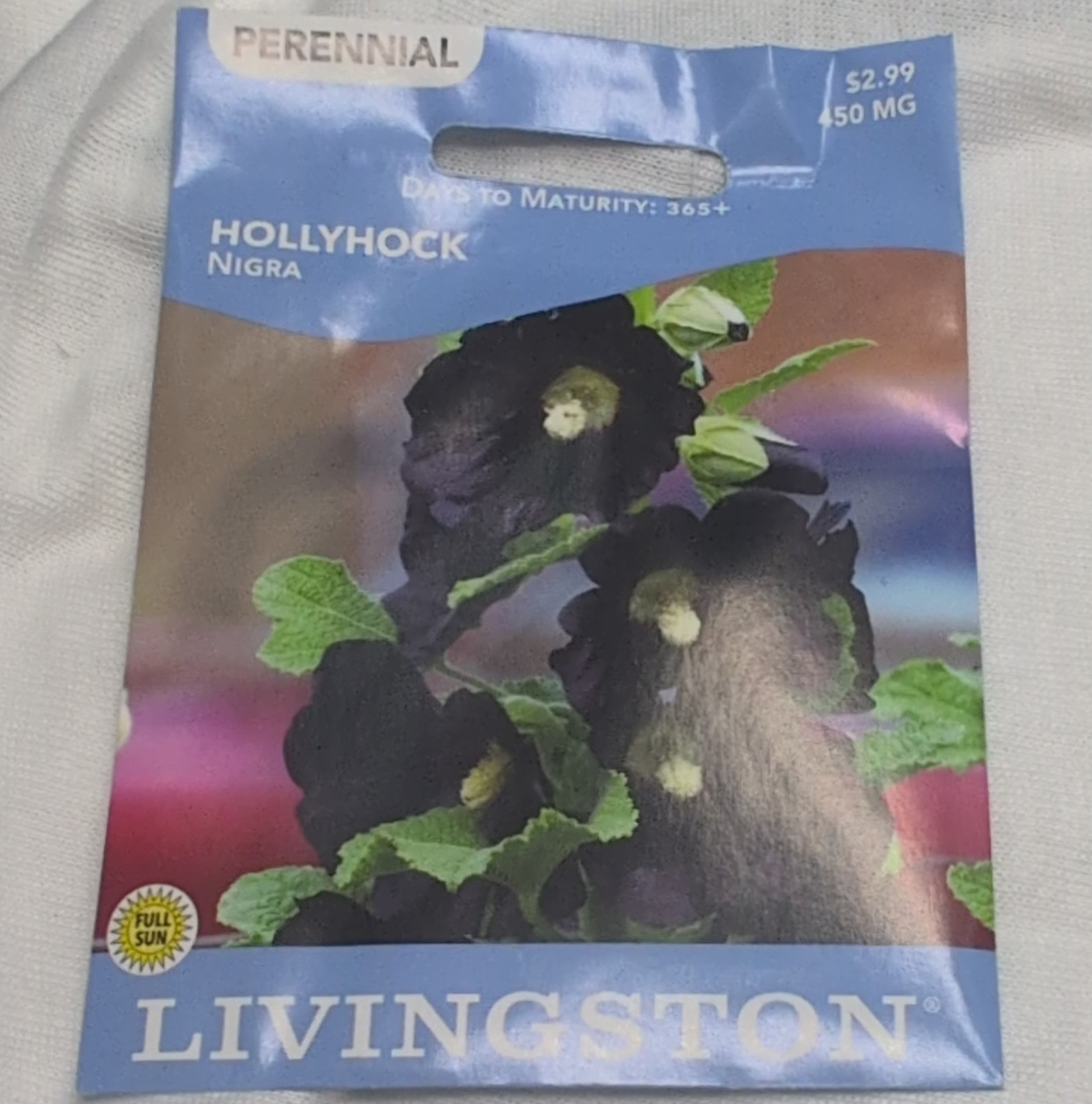Livingston Hollyhock Nigra Perennial Black Flower Seeds Full Sun Summer/Fall