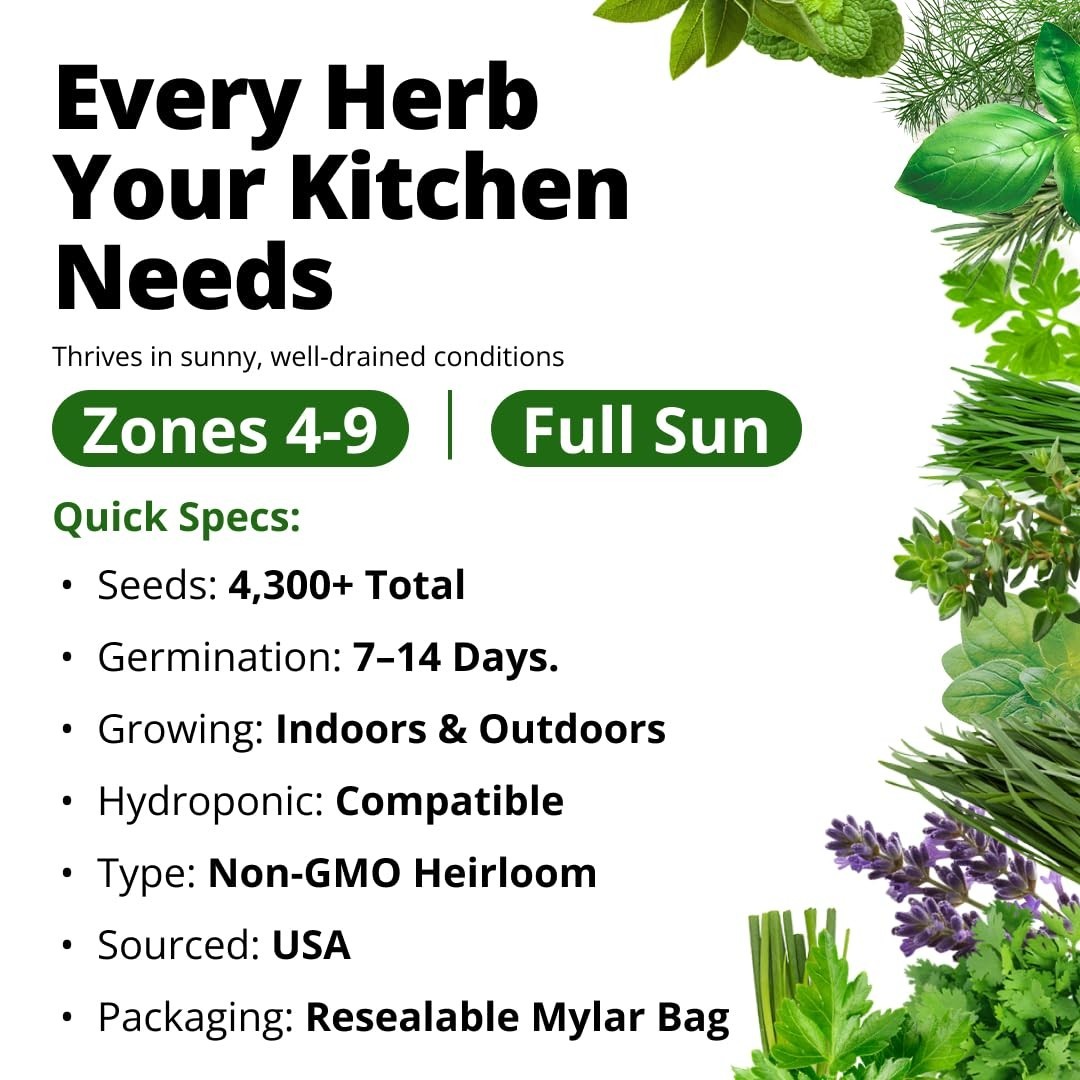 15-Pack Herb Seeds for Planting – 4,300+ Non-GMO Heirloom Seeds | Culinary Kit f