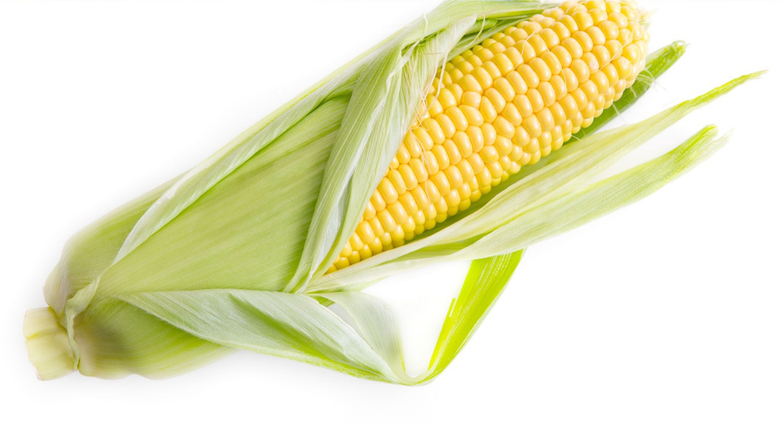 50 Golden Bantam Heirloom Corn Seeds- Old Time Favorite!