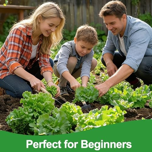 Lettuce Seeds, 10 Varieties Individual Packs, 40000+ Non-GMO Heirloom