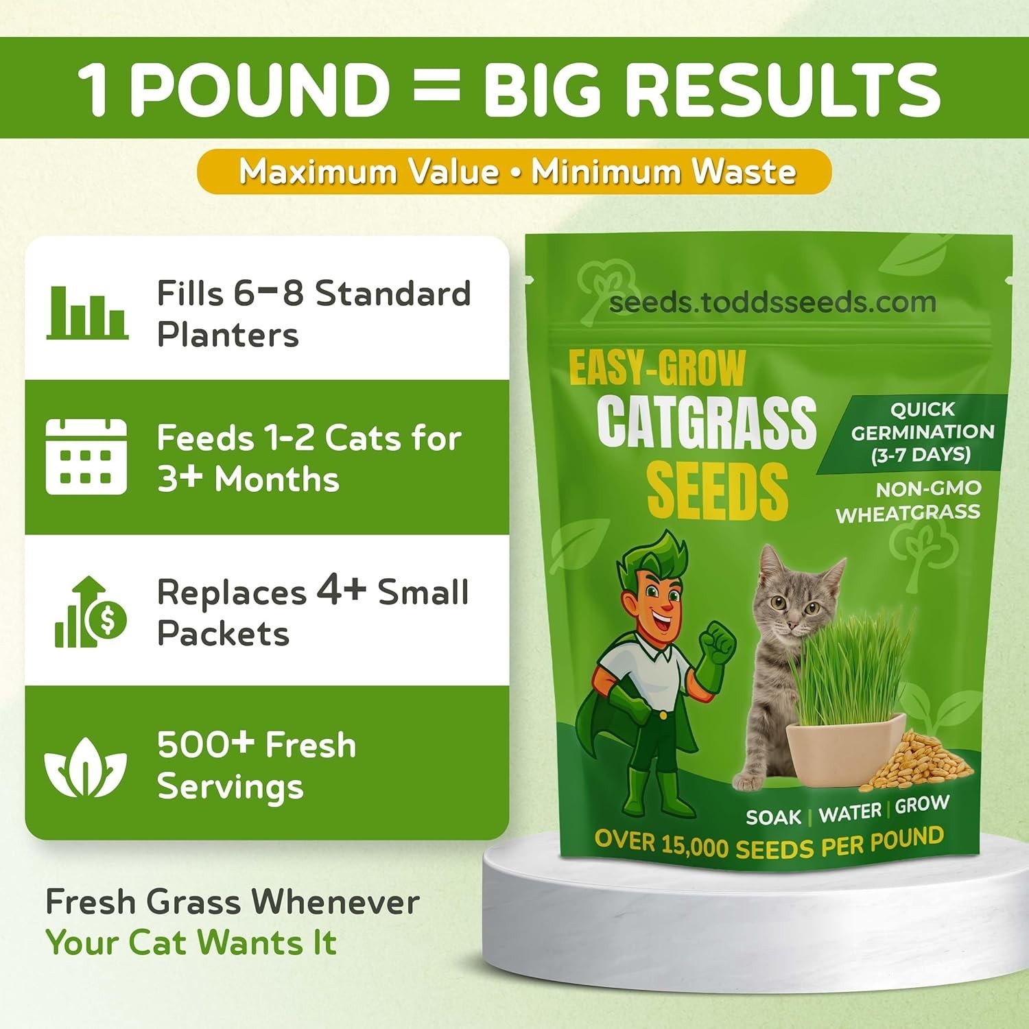 Cat Grass for Indoor or Outdoor Cats, 1lb Wheatgrass – , 100% Chemical Free B…