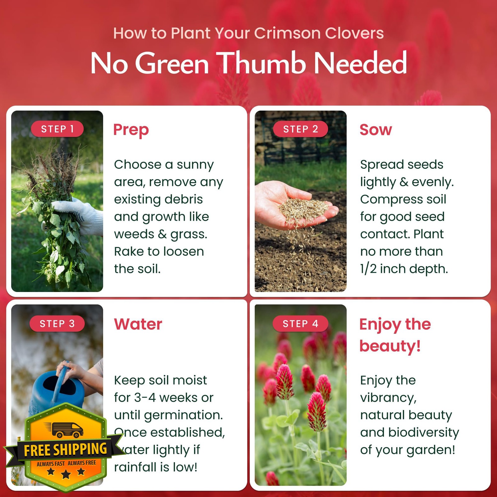 Created By Nature Crimson Clover Seeds 10000