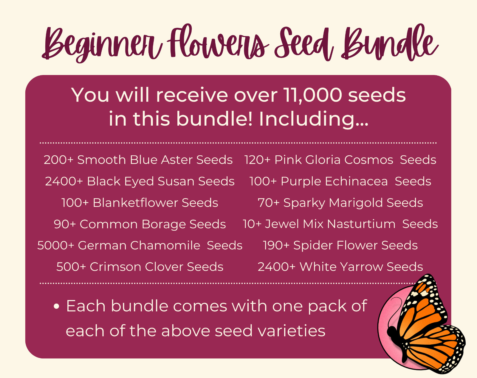 BEGINNER FLOWERS Seed Bundle | 12 Unique Seed Packets, Easy-To-Grow Variety Pack