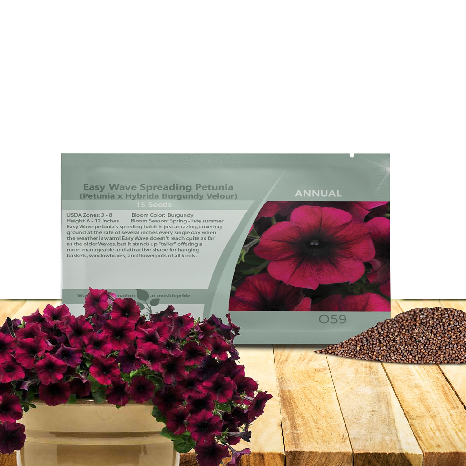 15 Seeds Burgundy Spreading Petunia Seed For Planting – Rare Varieties