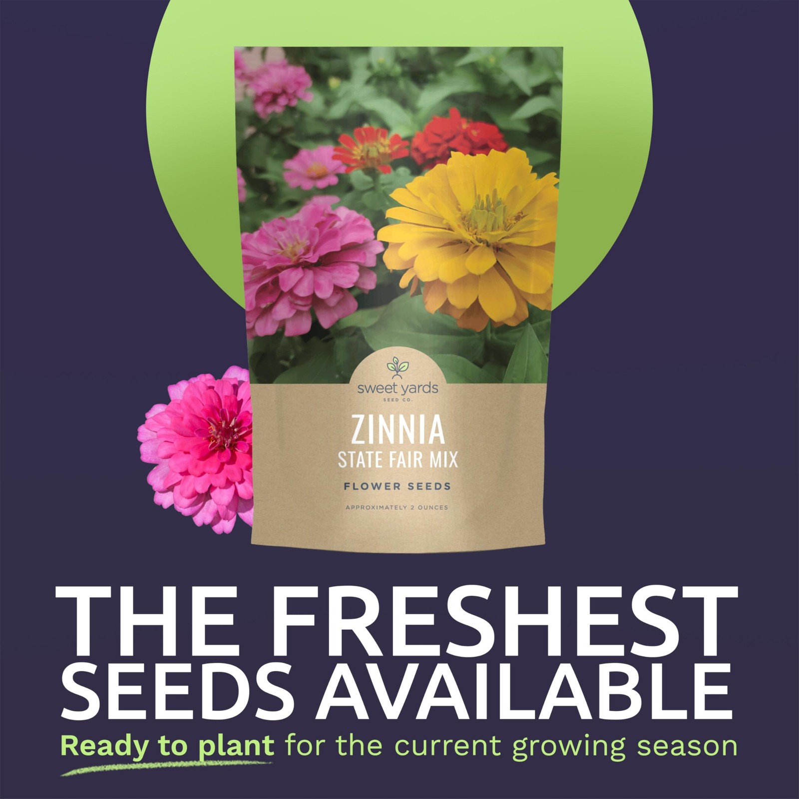 Zinnia State Fair Mix – Large 2 Ounces Seed Packet – 4,000 Flower Seeds for P…