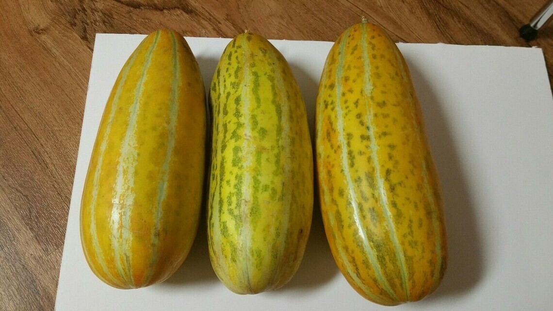 30+ Organic Melon Seeds-Hạt giống dưa gang/dưa bở-NON GMO-Free Shipping!