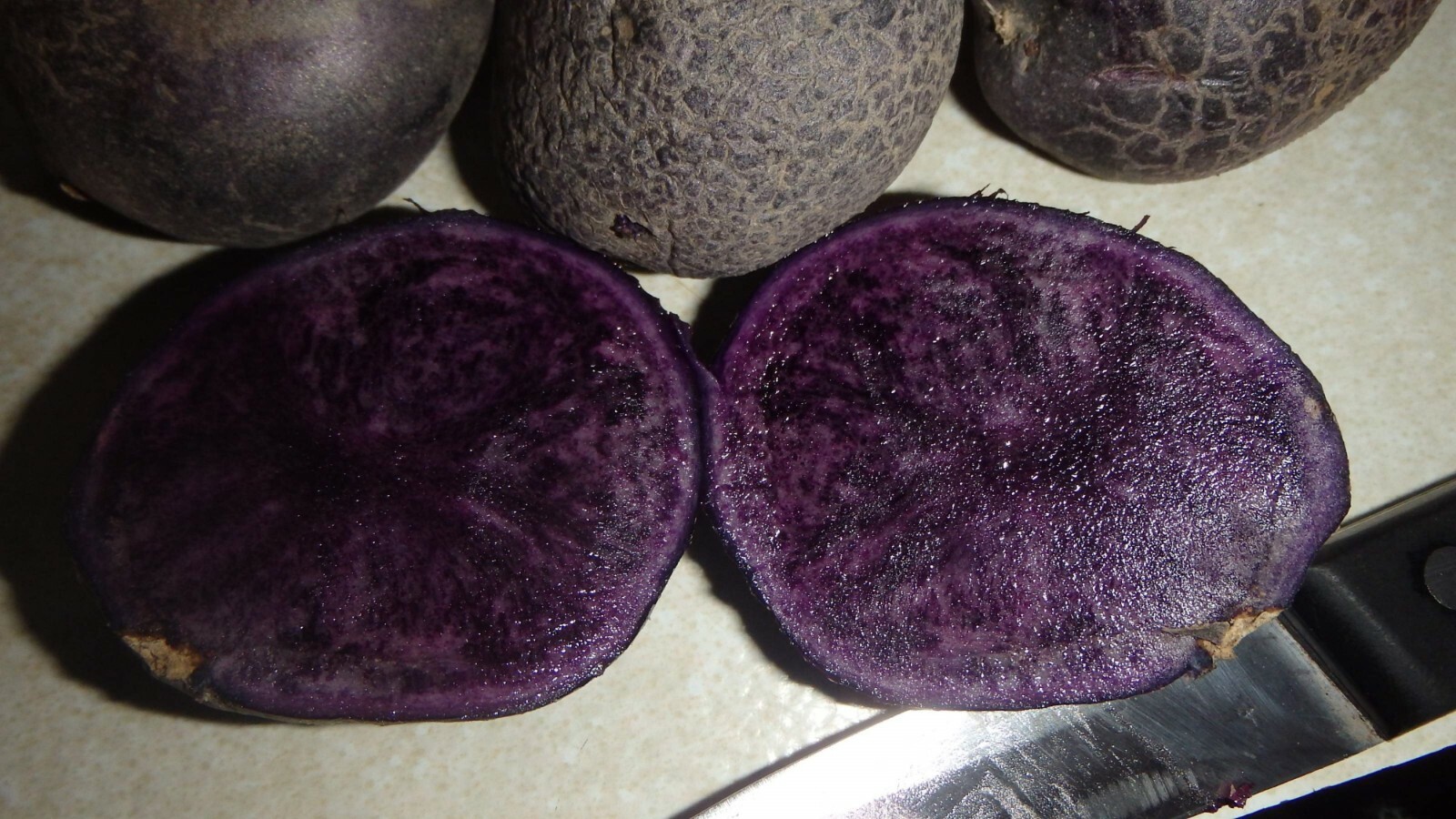 ORGANIC All Blue 5 Potato tubers, Purple Potato Solanum tuberosum Unique garden