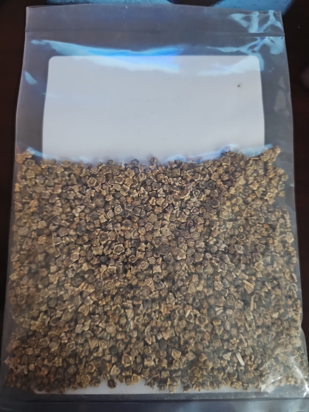 Eden Brothers Organic Sugar Beet Seeds 1 Ounce