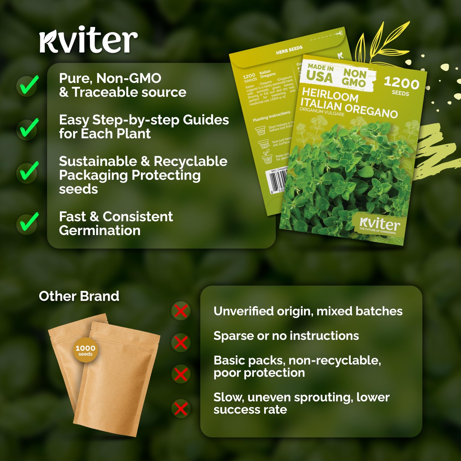 KVITER 1200 Italian Oregano Seeds for Planting (Origanum vulgare)