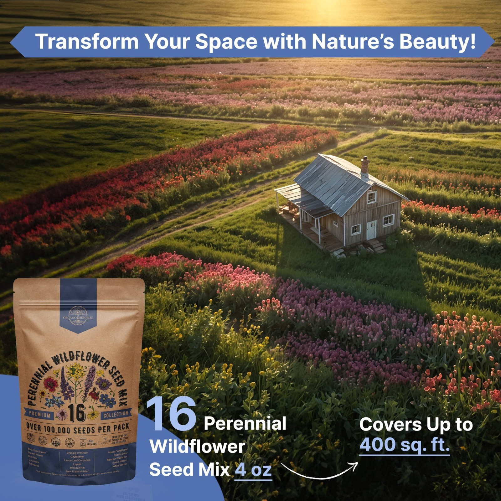 16 Perennial Wildflower Seed Mix – Non-GMO Heirloom Seeds for Indoor/Outdoor Gar