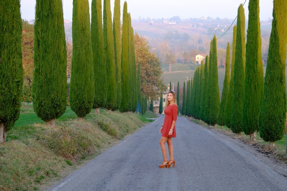 100 Italian Cypress Seeds for Planting | Exotic Evergreen Tree Seeds to Grow, Gr