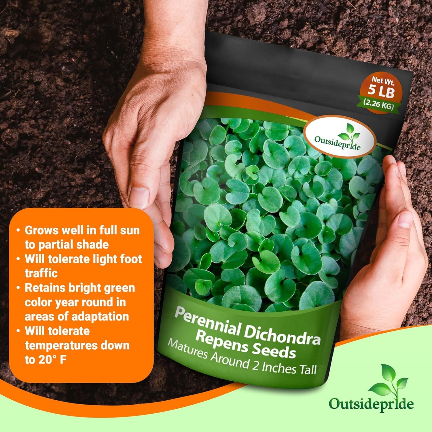 10 LBS Dichondra Seed For Planting – Dichondra Repens Ground Cover Seeds