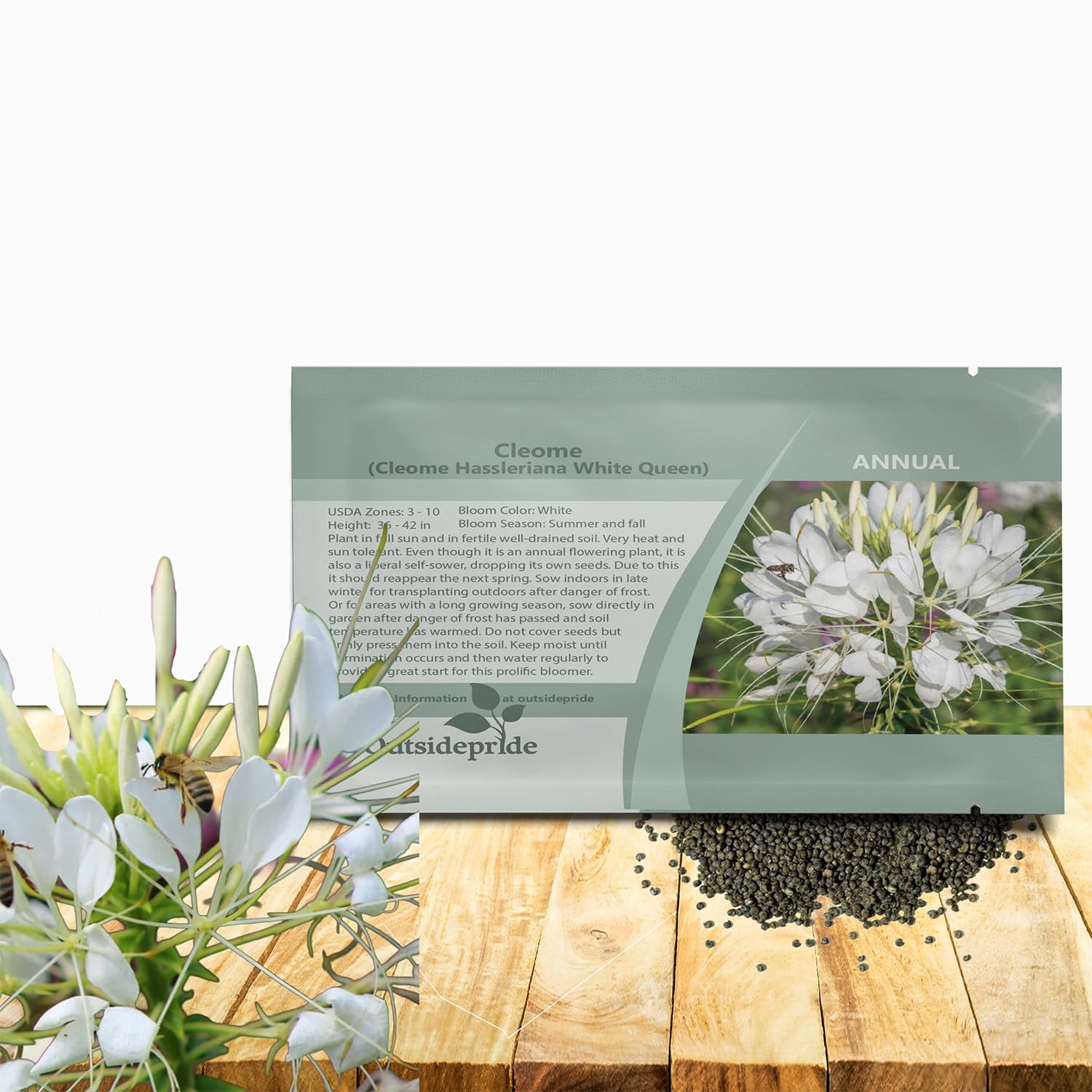 White Cleome Seeds 1000 Pcs Drought Tolerant Annual for Pollinator Gardens