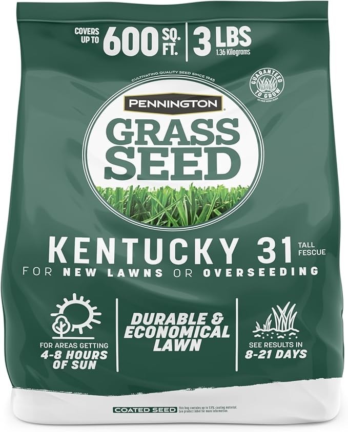 Pennington Kentucky 31 Fescue 3 LB Tall Fescue Grass Seed, Grass Seeds for Lawn